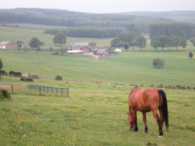 HWK Ardennes 2014 025.jpg